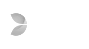 evolutiongaming logo